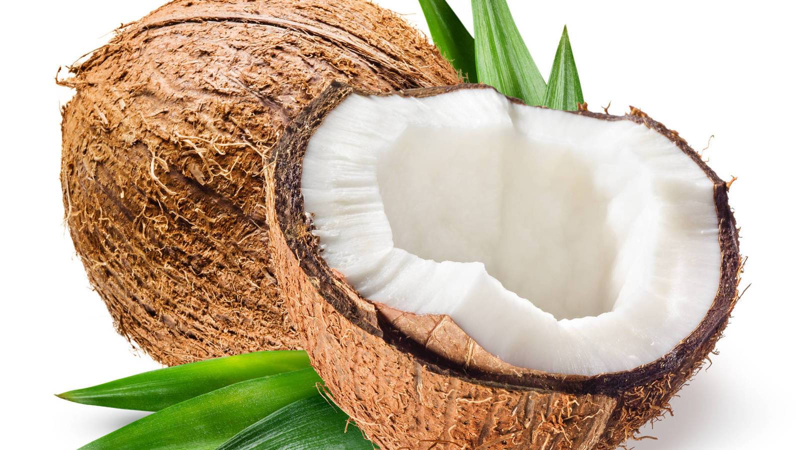Coconut перевод на русский. Кокосовый орех. Половинка кокоса. Кокос на белом фоне. Кокосовое молоко.