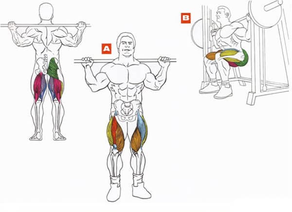 Техника выполнения упражнения для мышц ног: приседания в тренажере Смита