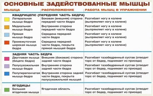 Задействованные мышцы в упражнении для ног: приседания в тренажере Смита