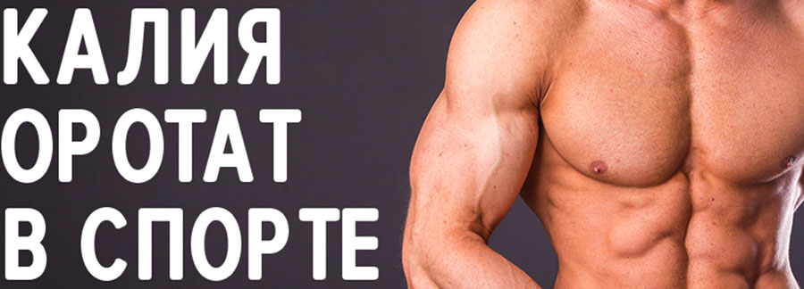 Калия оротат в спорте