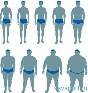 Соотношение роста и веса у мужчин - виды телосложения