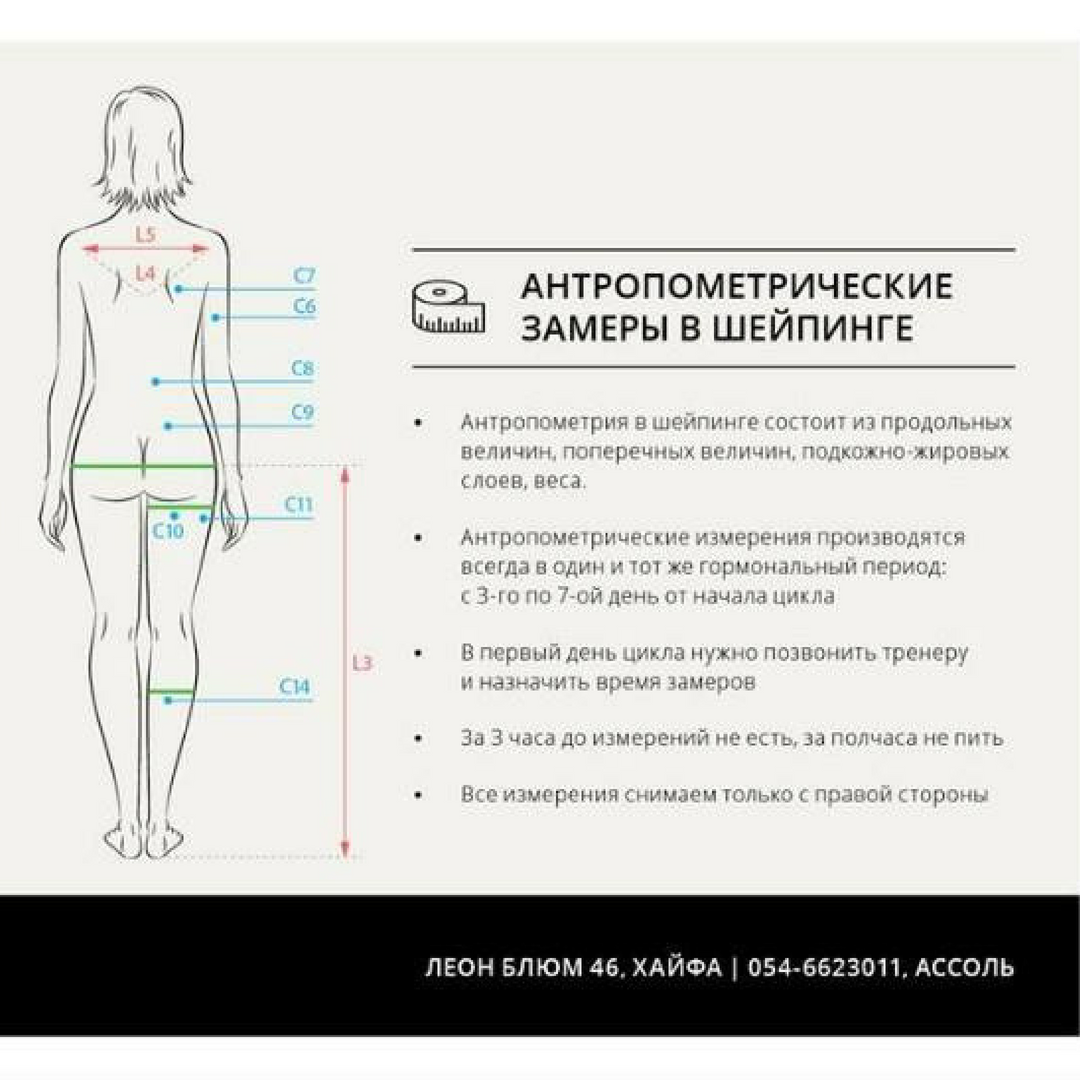 Окружность тела. Антропометрия это измерение. Антропометрические измерения тела. Антропометрия замеры тела. Замеры антропометрических данных.