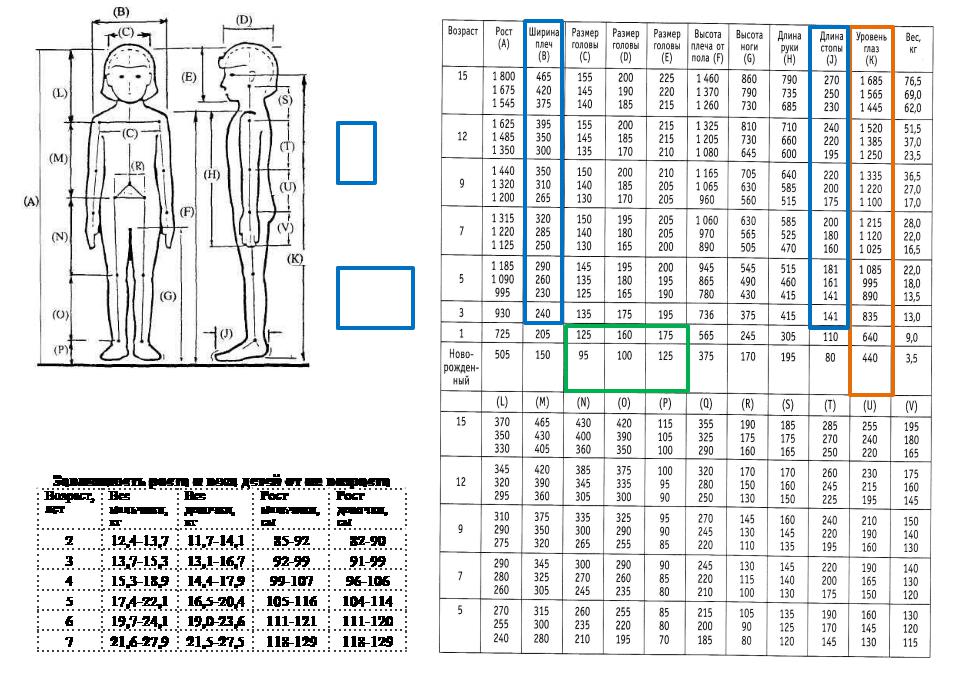 Антропометрические данные для кадетского корпуса образец