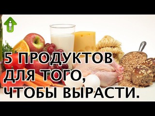 Что надо есть чтобы стать. Продукты чтобы вырасти. Еда для того чтобы вырасти. Чем нужно питаться чтобы вырасти. Что нужно есть чтобы вырасти.