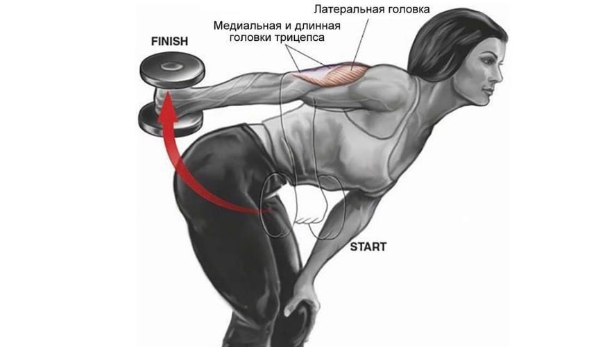 Отведи назад. Упражнения на трицепс и дельтовидные мышцы. Упражнения для задней части рук. Задняя дельтовидная мышца упражнения. Отведение гантели в наклоне трицепс.