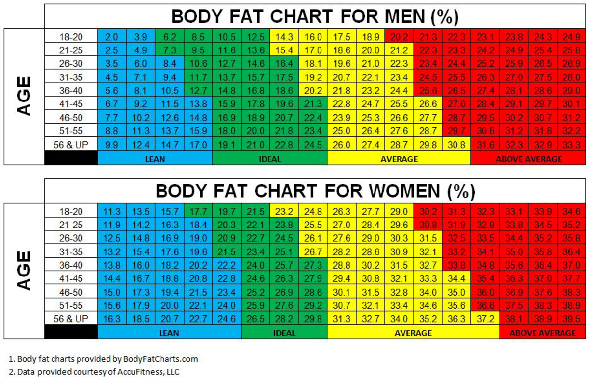 Норма жира в организме мужчины. Таблица жира в организме. Норма жира в организме. Таблица жировой массы тела. Таблица процента жира.