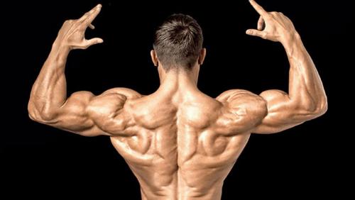 Упражнения для развития плечевого пояса у мужчин. Наиболее эффективные упражнения для тренировки плеч